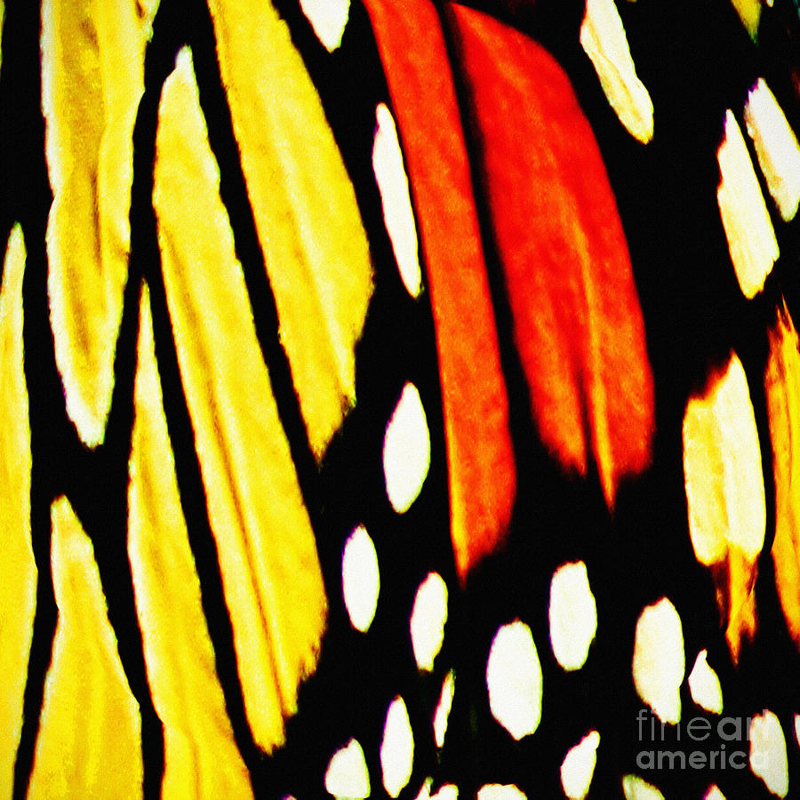 Wings Of A Monarch Butterfly Abstract Photograph by Carol F Austin