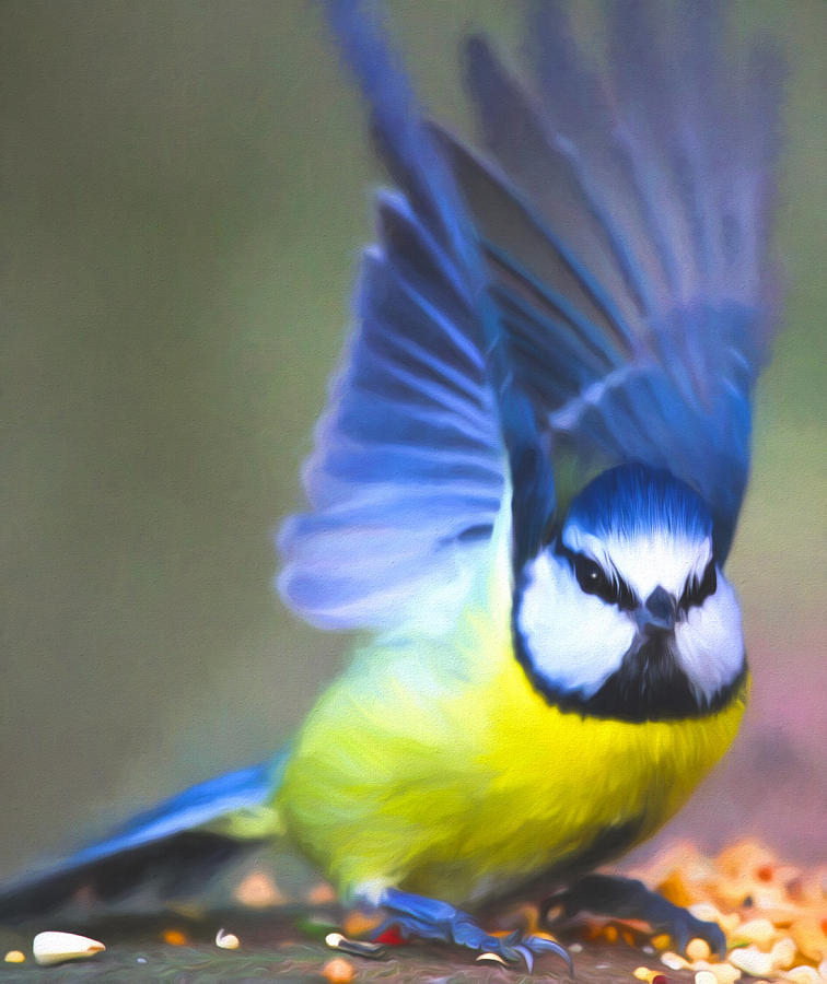 Wildlife Photograph - Wings Of Blue by Georgiana Romanovna