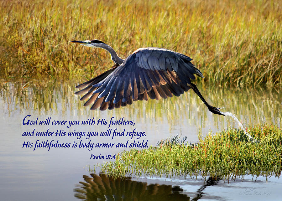 Wings of Refuge with Scripture Photograph by Brian Tada