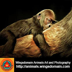 Wingsdomain Animals Fine Art And Photography Wall Art Home Decor And Office Decor Photograph by Wingsdomain Art and Photography