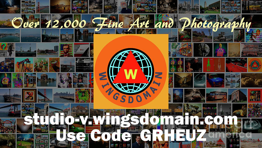 Wingsdomain Art and Photography Holiday 2016 Discount Code GRHEUZ Ends Jan 1 2017 Photograph by Wingsdomain Art and Photography