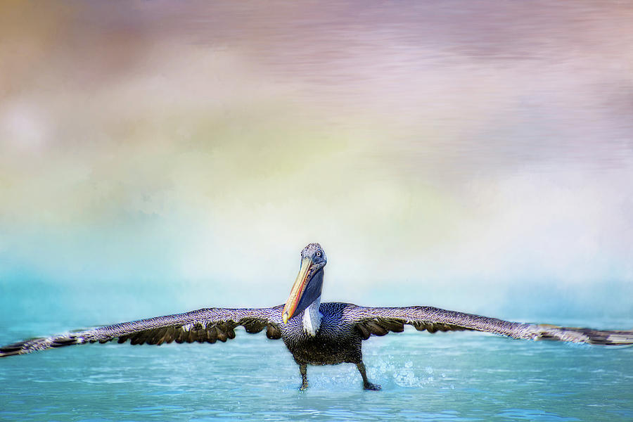 Wingspan Digital Art by Terry Davis