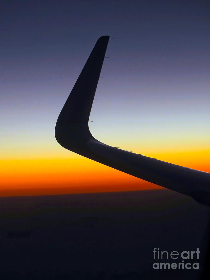 Sunset Photograph -  Wingtip Horizon by Beth Myer Photography