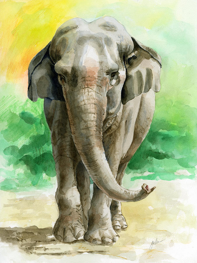Elephant Painting - Winky by Galen Hazelhofer