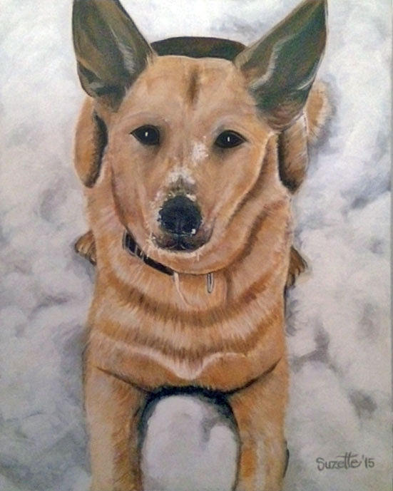 Dog Painting - Winnie by Suzette Castro