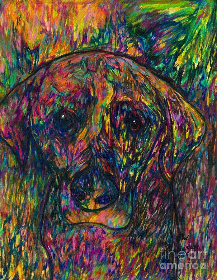 Winnie the dog Drawing by Jon Kittleson