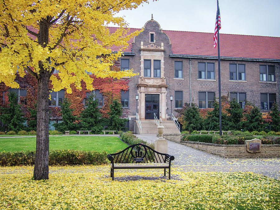 Winona State University Phelps Hall With Bench Photograph by Kari Yearous