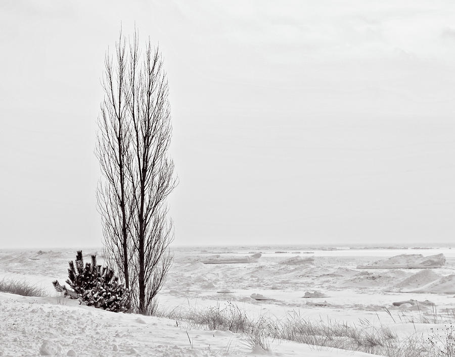 Winter @ Oval Beach Photograph by Winnie Chrzanowski