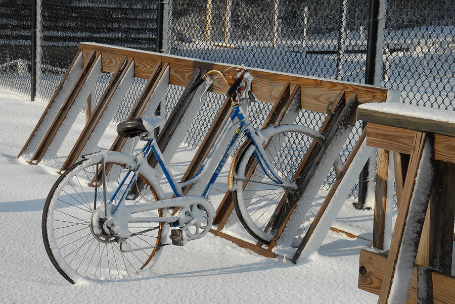 Winter 9 Photograph by Joyce StJames