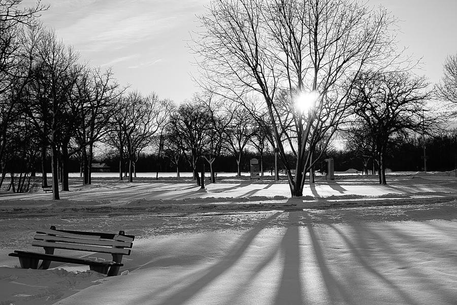 Winter Shadows with Bench Photograph by Desmond Raymond
