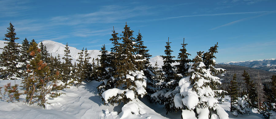 Winter Above Breckenridge Photograph by Cascade Colors