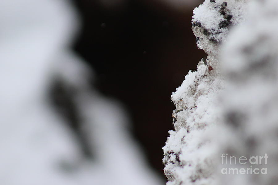 Winter Abstract Photograph by Lkb Art And Photography