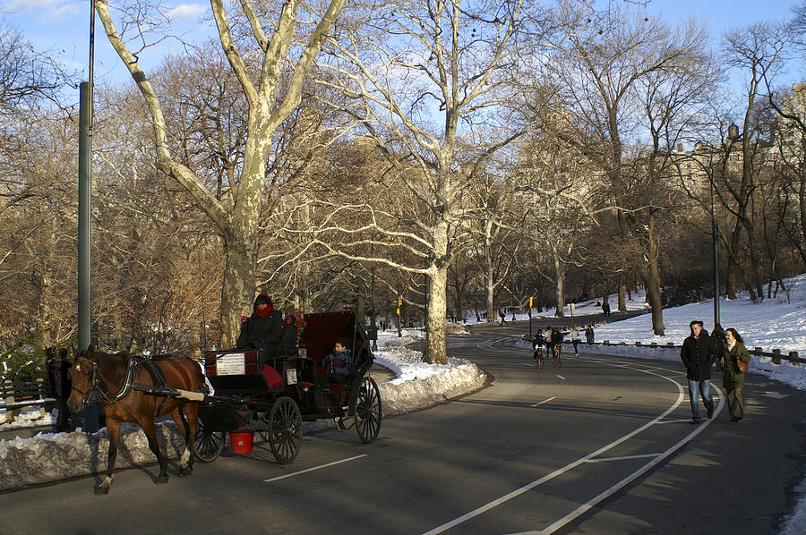 Winter Afternoon in the Park Photograph by Henri Irizarri
