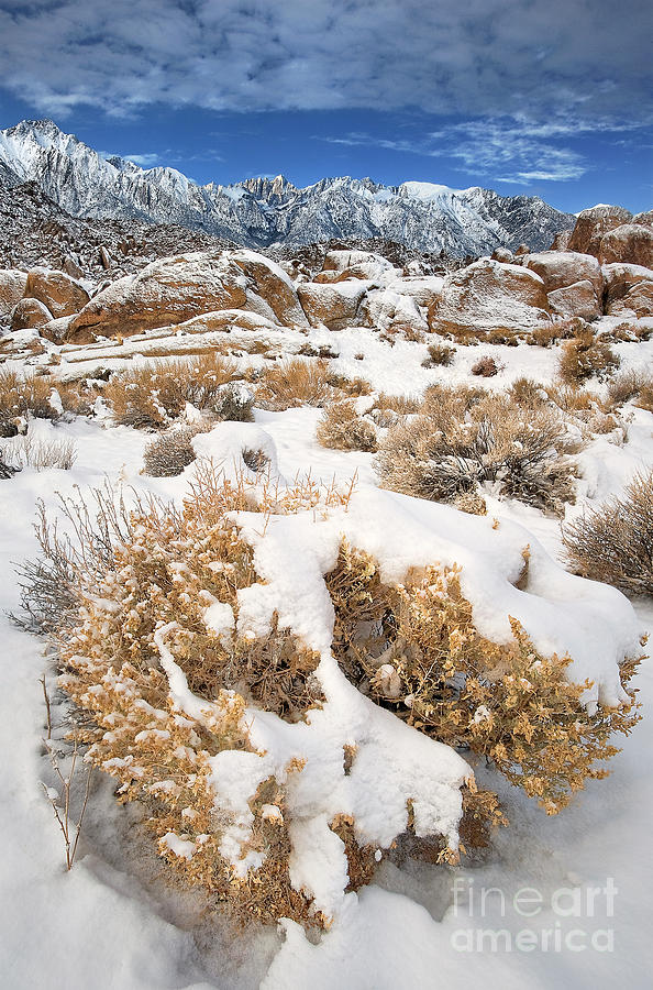 Winter Alabama Hills Eastern Sierras California Photograph by Dave Welling