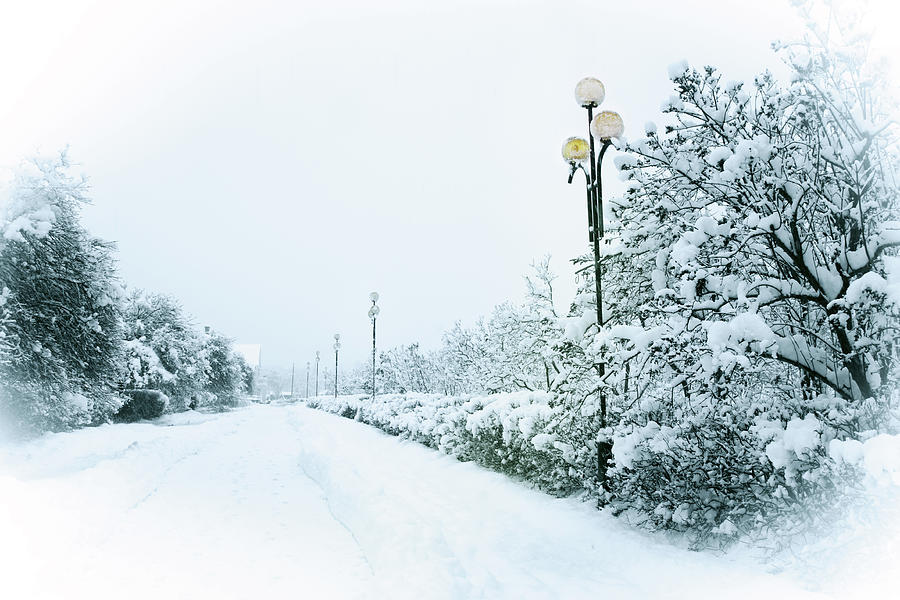 winter alley by Iuliia Malivanchuk Photograph by Iuliia Malivanchuk