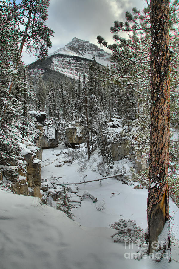 Winter Along Beauty Creek Photograph by Adam Jewell