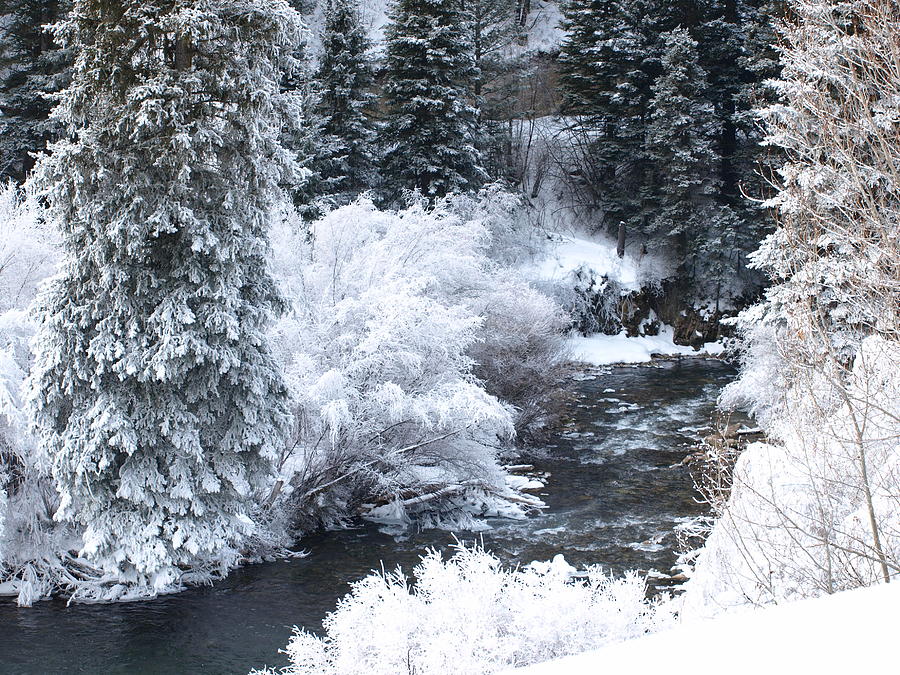 Winter Along The Creek Photograph by DeeLon Merritt