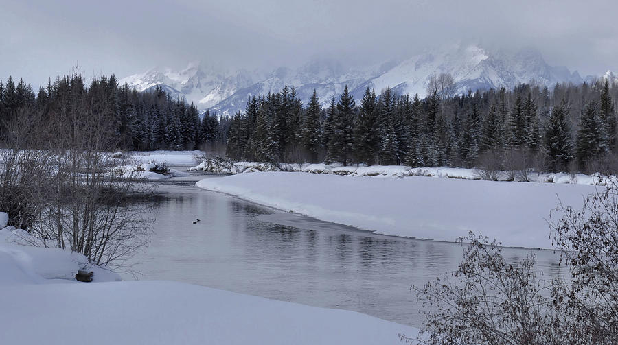 Winter Along The Snake River Photograph by Stephen Vecchiotti