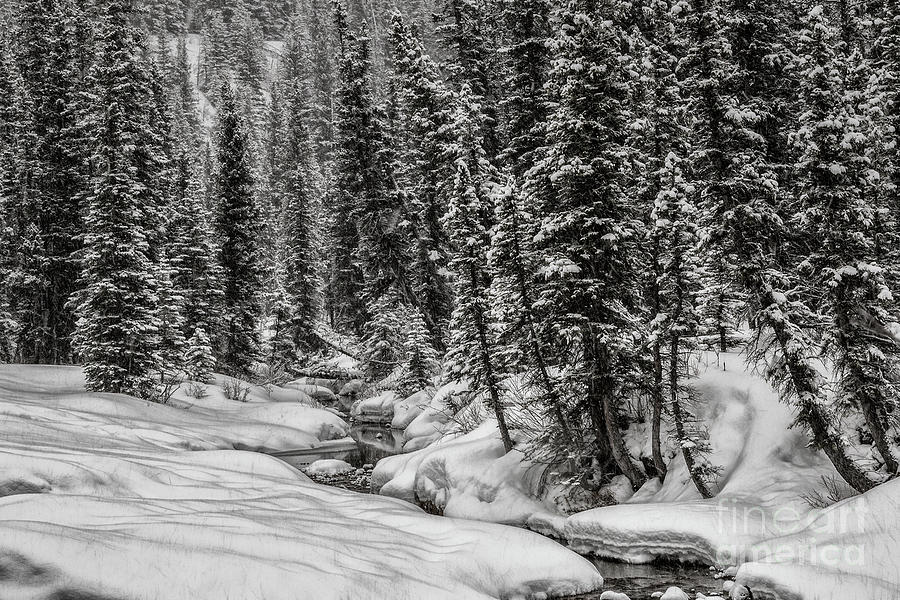 Winter Alpine Creek II Photograph