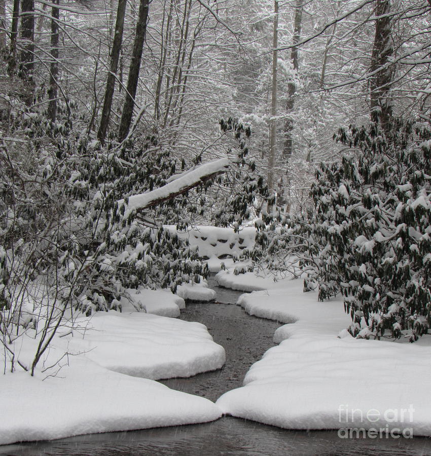 Winter Appalachian Stream Photograph by Joshua Bales