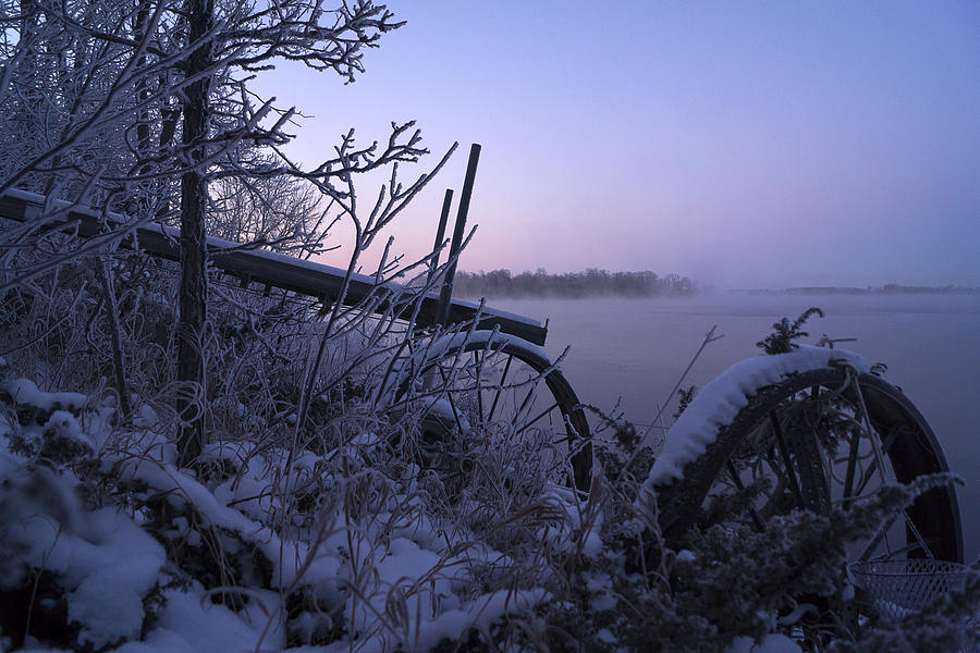 Winter Photograph - Winter Arrives by Jann Kline