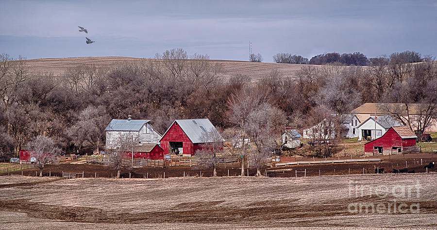 Winter at a Nebraska Farm Photograph by Priscilla Burgers