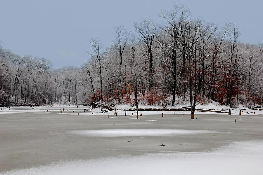 Winter at Alum Creek Photograph by Angela Murdock