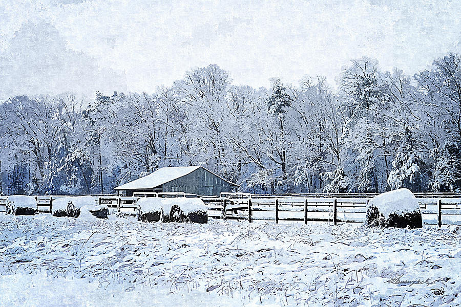 Winter at Bellswood Pasture Photograph by Alan Hausenflock