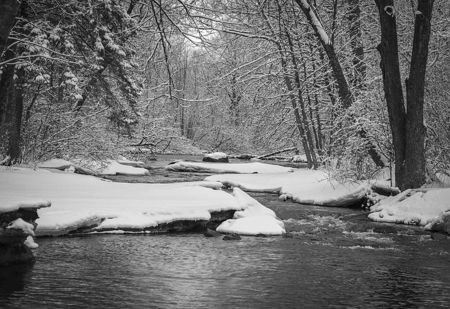 Winter At Brainards Bridge Park 2016-1 Photograph by Thomas Young