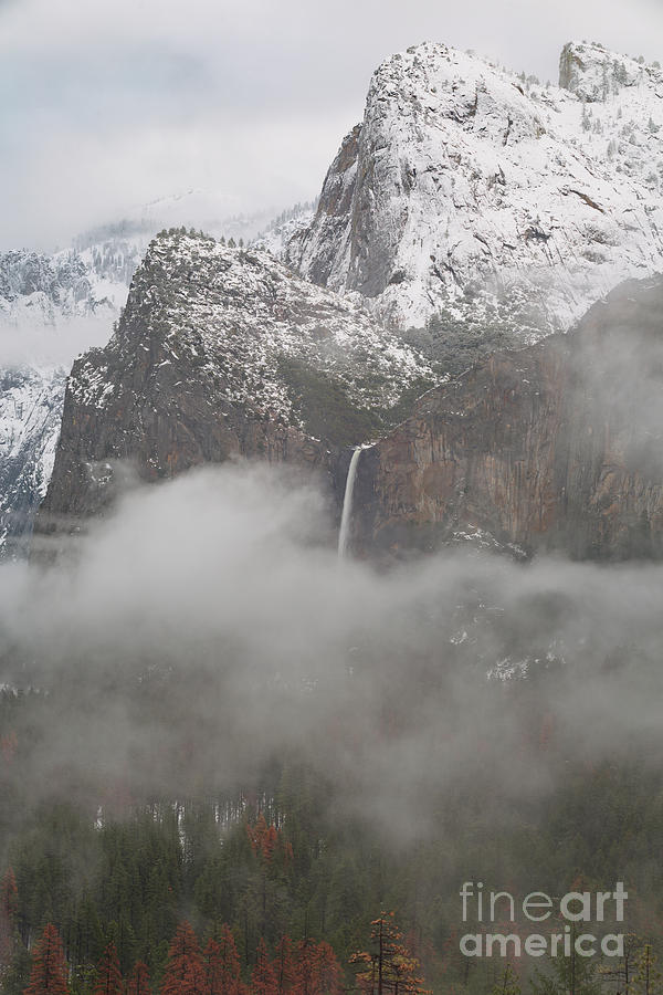 Yosemite National Park Photograph - Winter At Bridalveil Falls by Richard Sandford