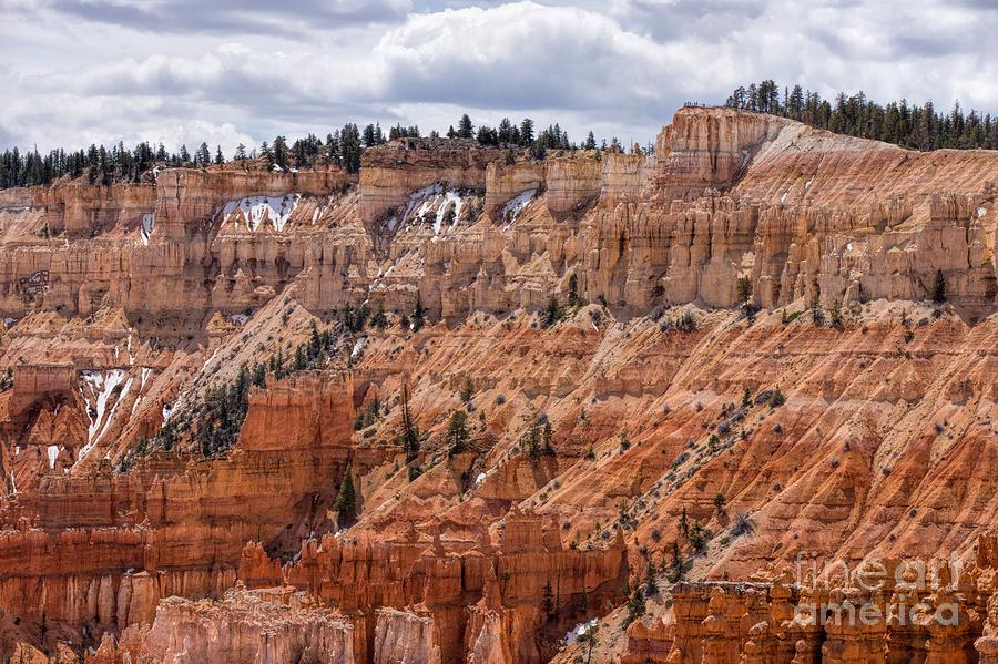 Winter at Bryce Canyon Photograph by Peggy Hughes
