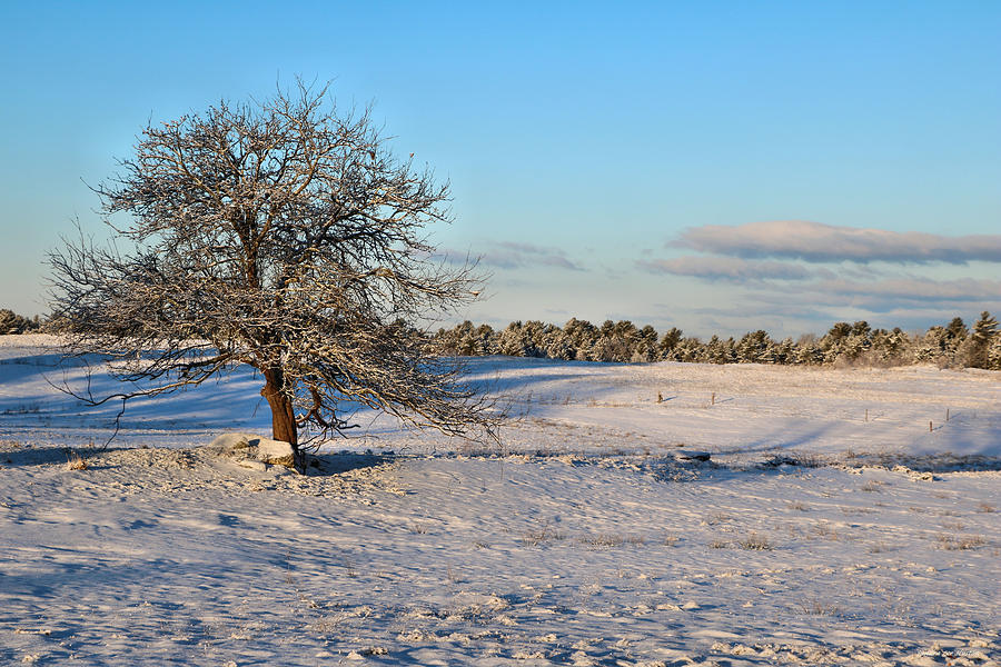 Winter Landscapes Photograph - Winter At Dawn by Sandra Huston