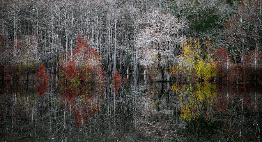 Winter at Dead Lakes Photograph by Jurgen Lorenzen