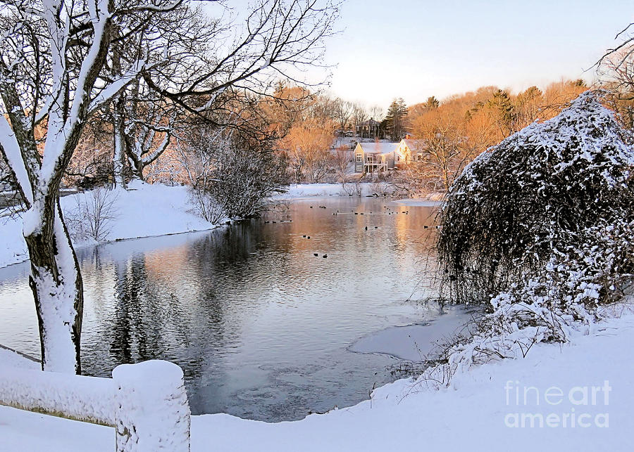 Winter at Jenney Pond Photograph by Janice Drew