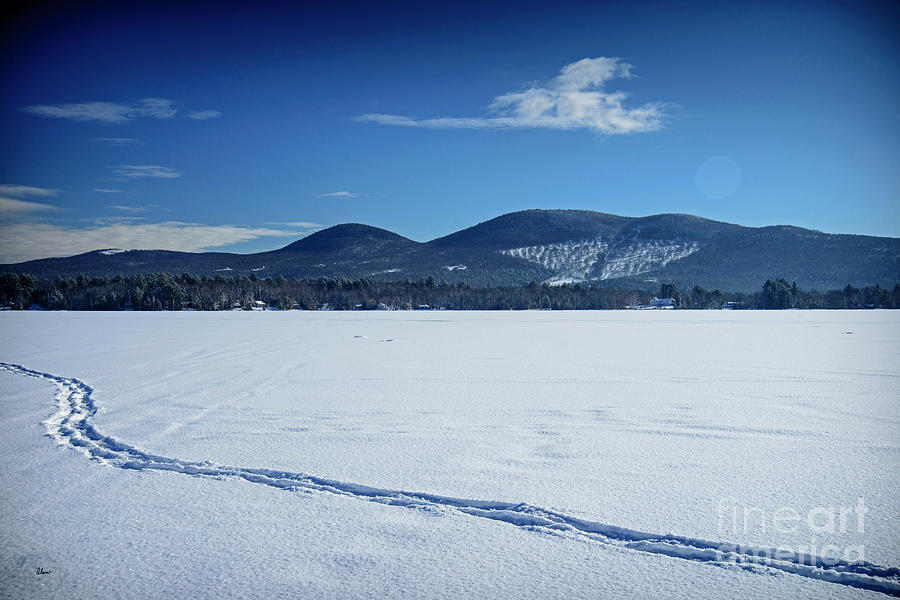 Winter at Porter Lake Photograph by Alana Ranney