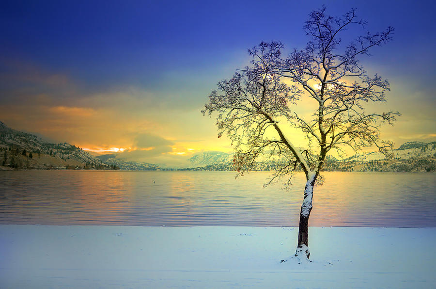 Winter at Skaha Beach Photograph by Tara Turner - Fine Art America