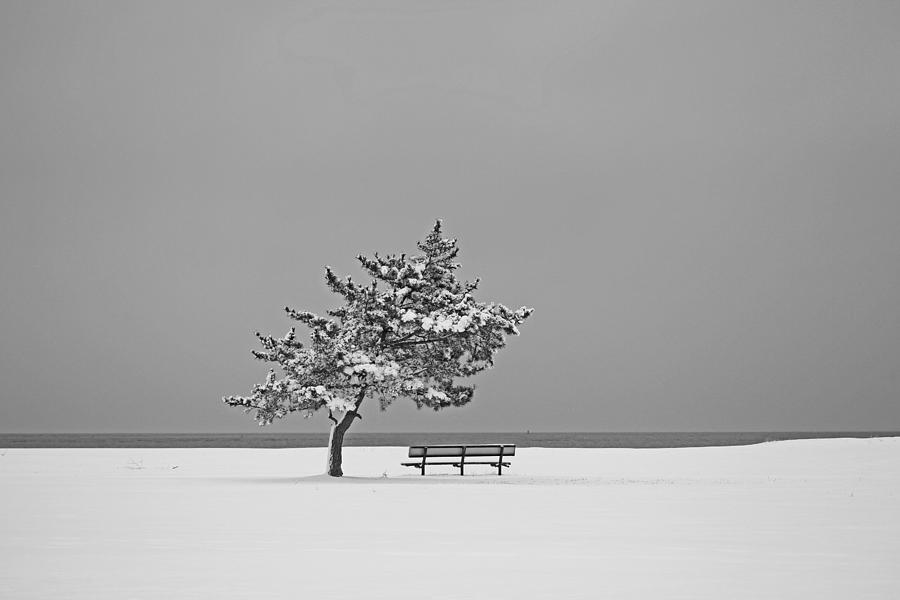 Winter At The Beach Photograph by Karol Livote