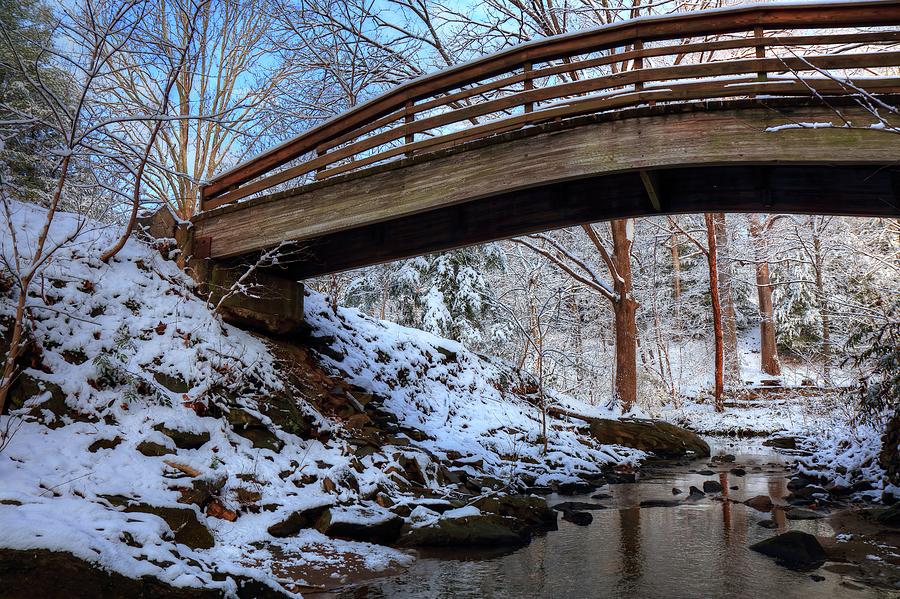 Winter At The Botanical Garden Bridge Asheville North Carolina Photograph by Carol Montoya