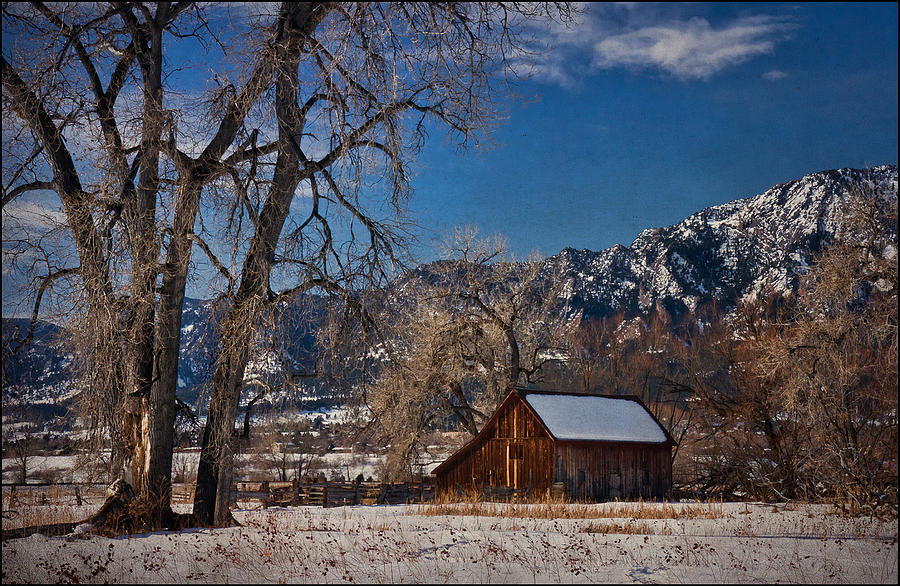 Winter at the Dorn Barn Photograph by Priscilla Burgers