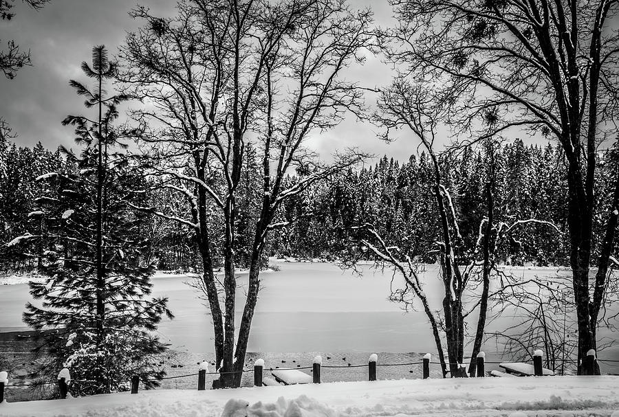 Winter at the Forebay Photograph by Steph Gabler