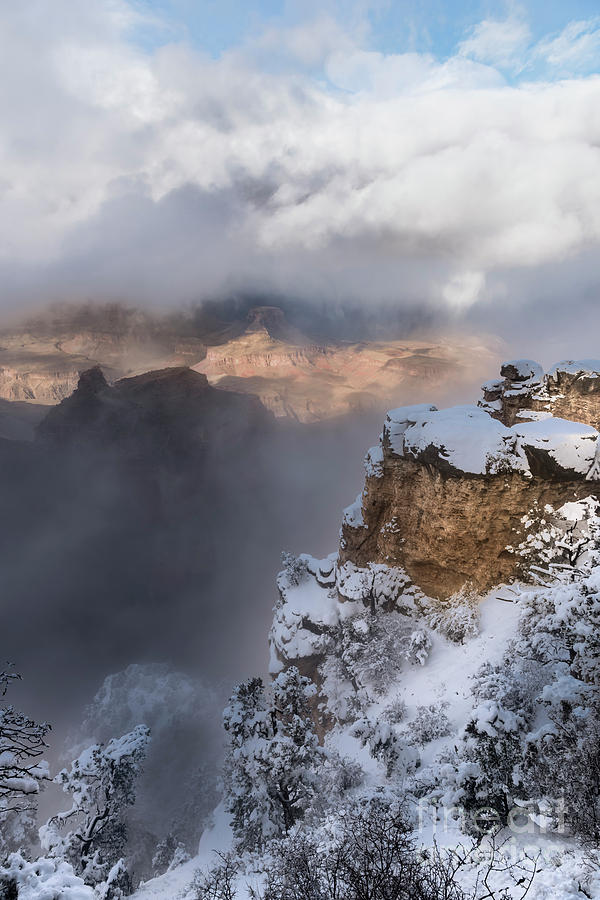 Winter At The Grand  Canyon Photograph by Sandra Bronstein
