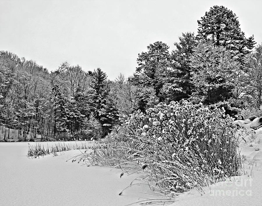 Winter At The Pond In Black And White Photograph by Smilin Eyes Treasures