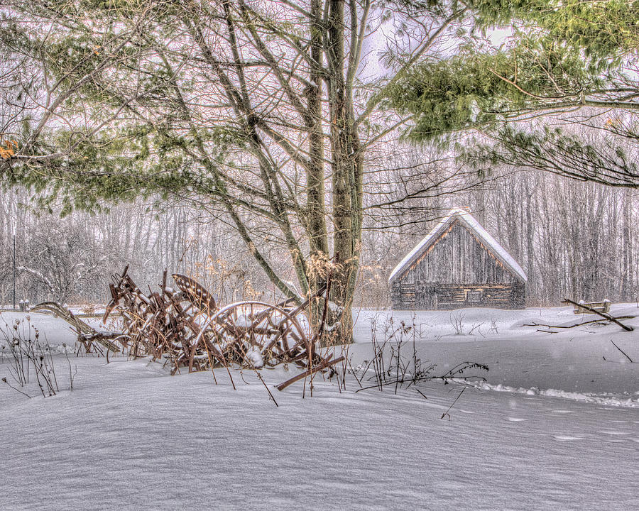 Winter at the Woods Photograph by Rod Best