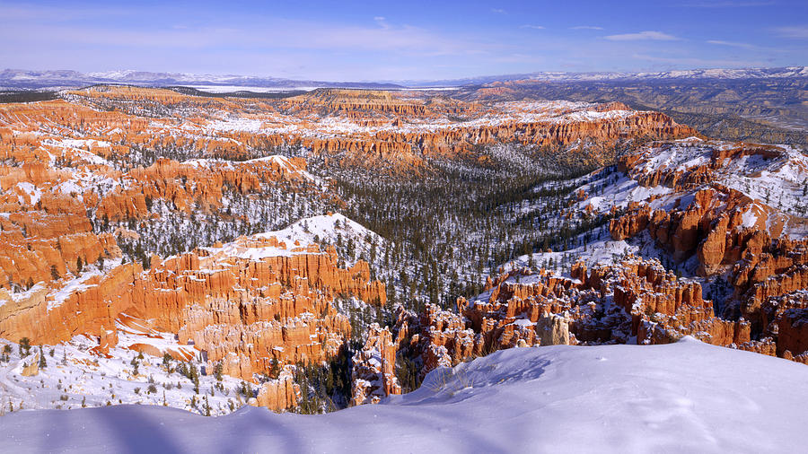 Nature Photograph - Winter Atop Bryce by Chad Dutson