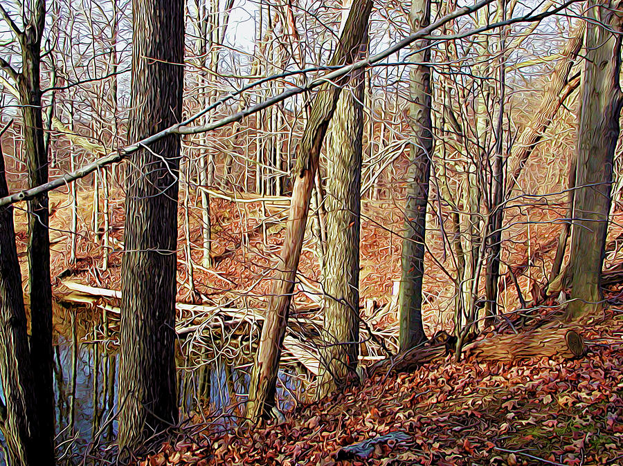 Winter Bank Photograph by Linda Carruth