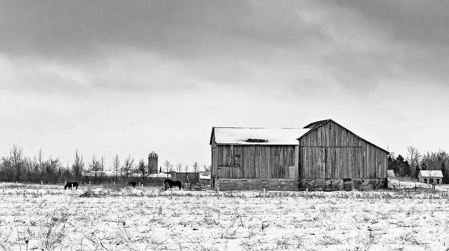 Winter Barn 2 bw Photograph by Steve Harrington