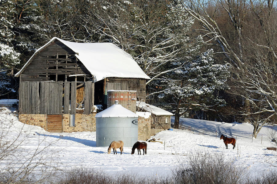 Winter Barn and Horses Photograph by Brook Burling