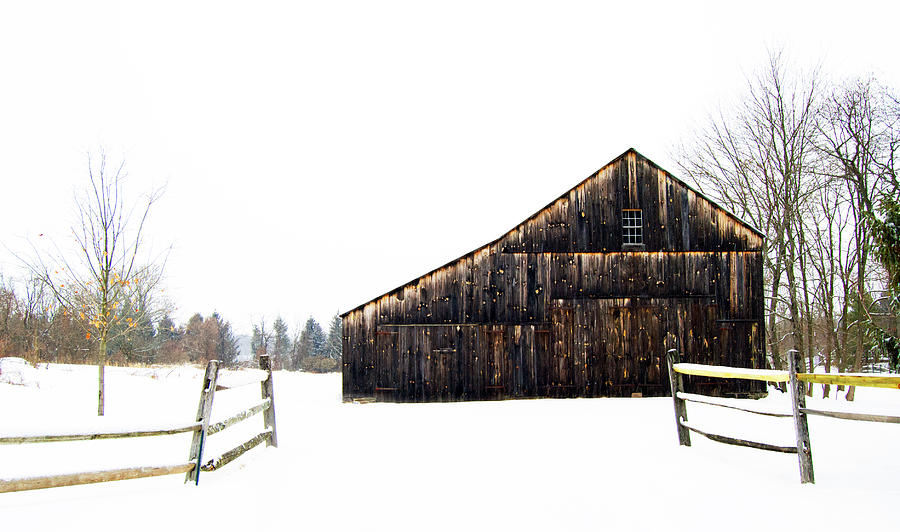 Winter Barn Photograph by Elsa Santoro