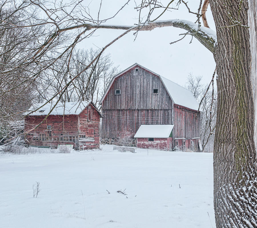 Winter Barn in Michigan Photograph by Joe Holley