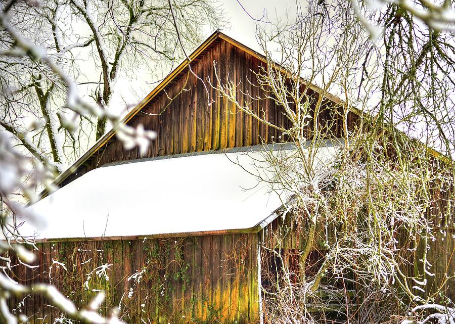 Winter Barn Photograph by Jerry Sodorff